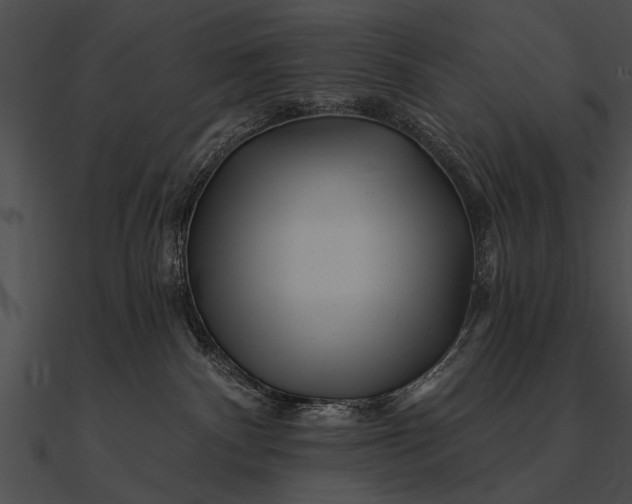 X0000090480140200708031132