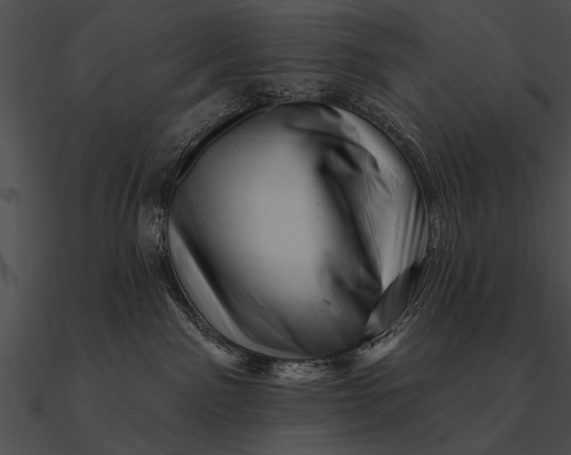 X0000090480141200708031132