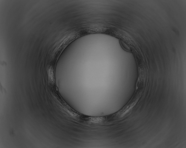 X0000090480143200708031132