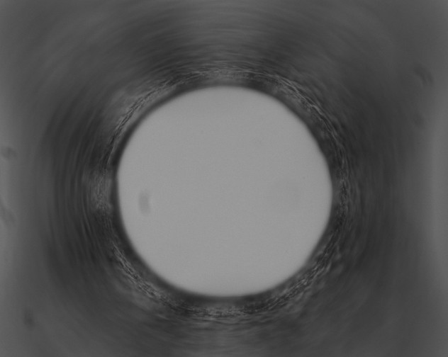 X0000090480146200708031132