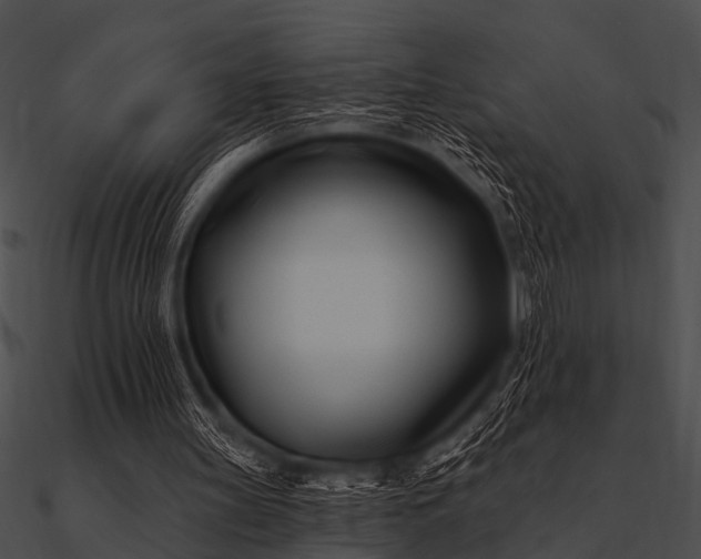 X0000090480147200708031132