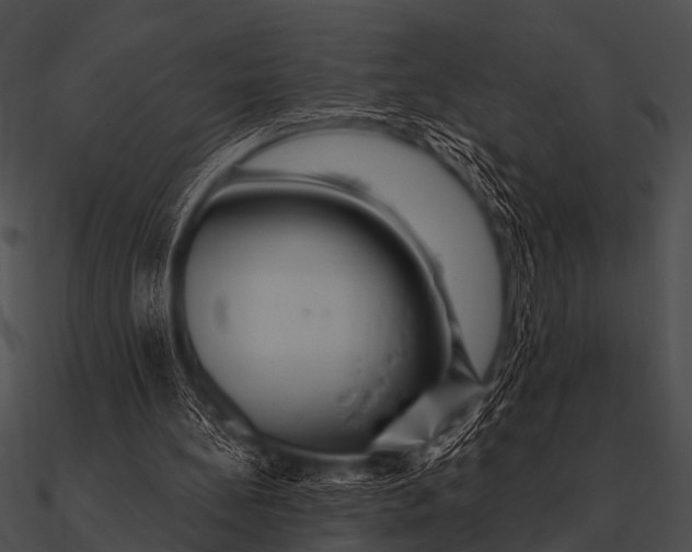 X0000090480148200708031132