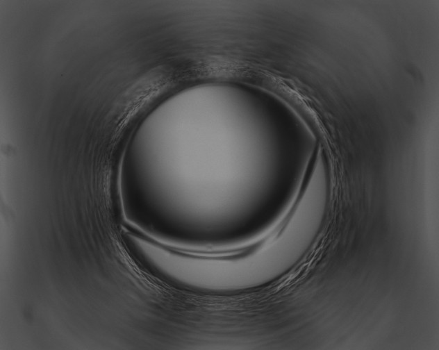 X0000090480154200708031132