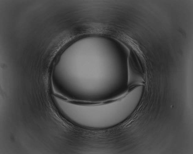 X0000090480156200708031132