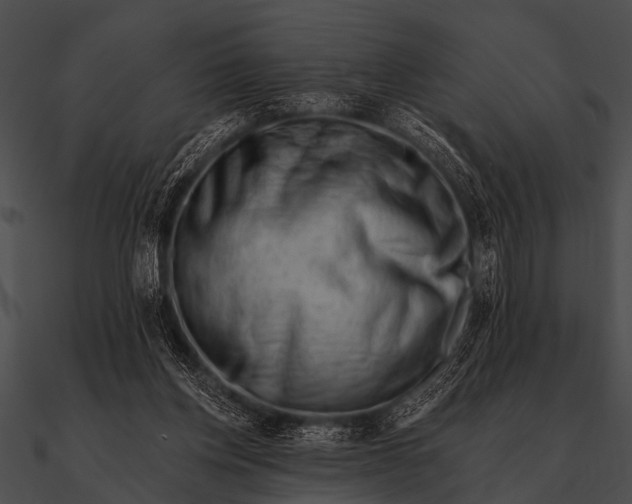 X0000090480158200708031132