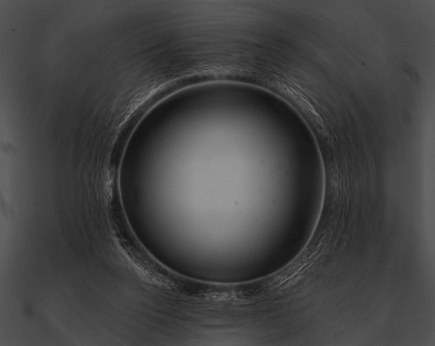 X0000090480160200708031132