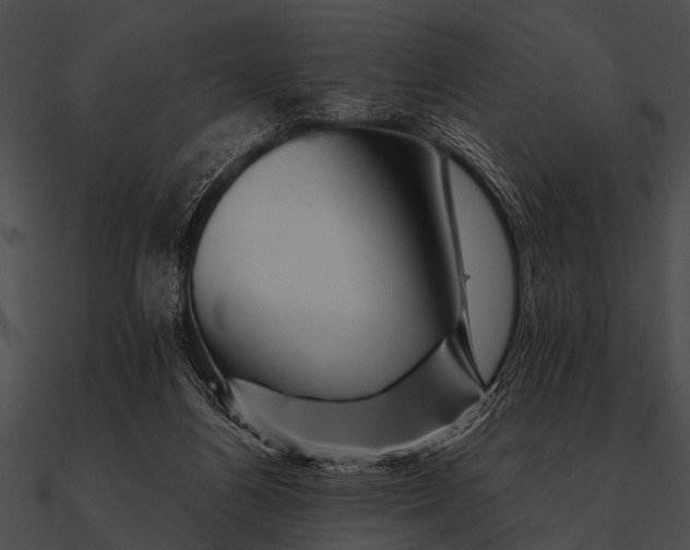 X0000090480164200708031132