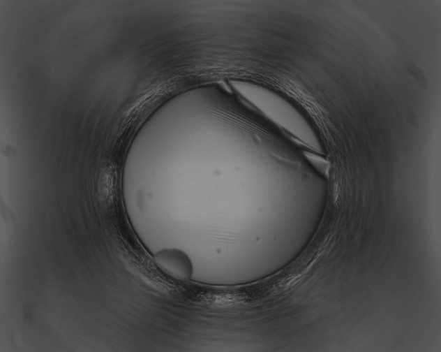 X0000090480165200708031132