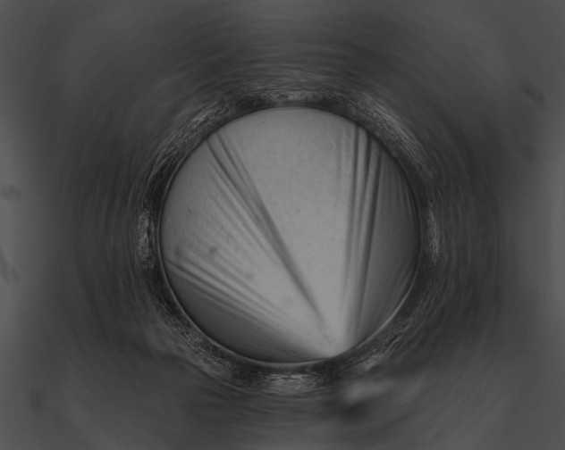 X0000090480169200708031132