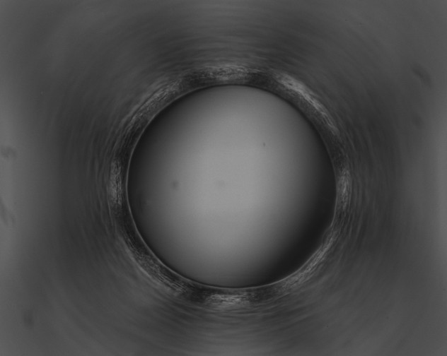 X0000090480170200708031132
