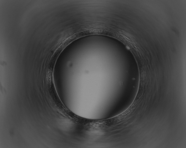 X0000090480172200708031132