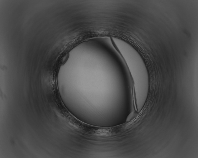 X0000090480176200708031132