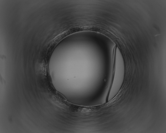 X0000090480180200708031132