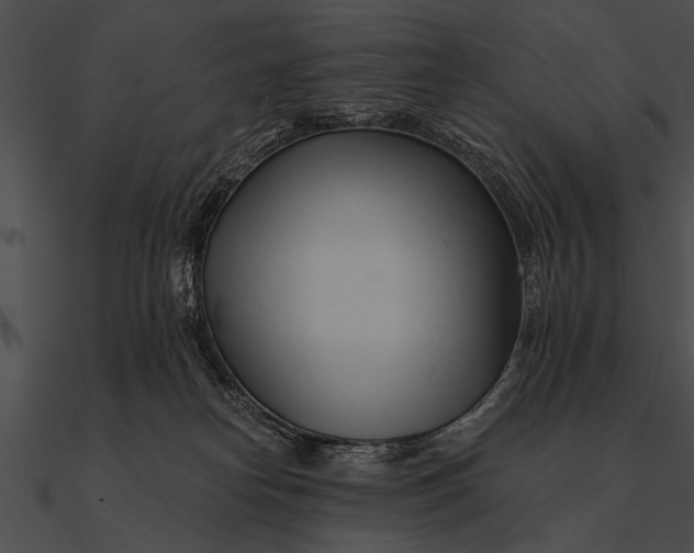 X0000090480182200708031132