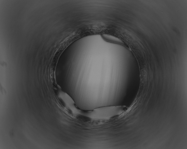 X0000090480184200708031132