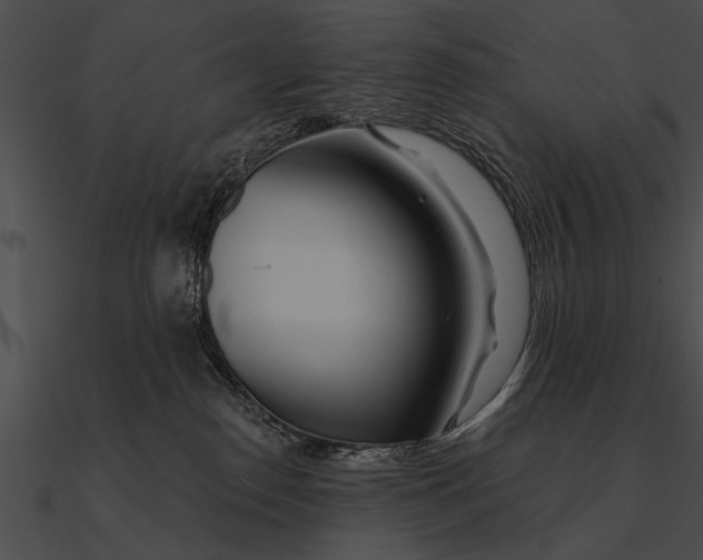 X0000090480186200708031132