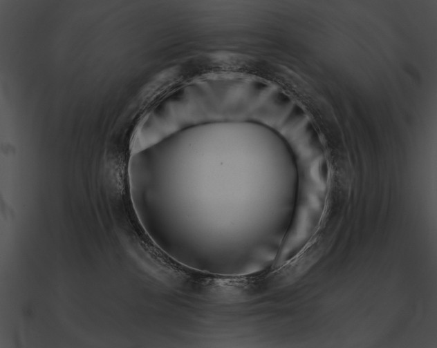 X0000090480188200708031132