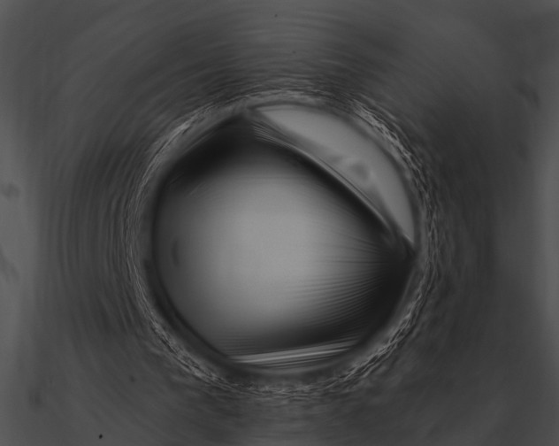 X0000090480193200708031132