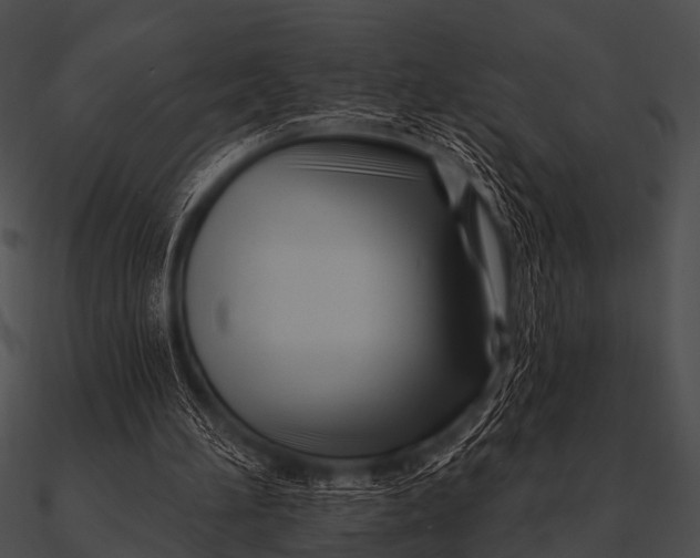 X0000090480196200708031132