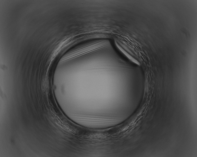 X0000090480198200708031132