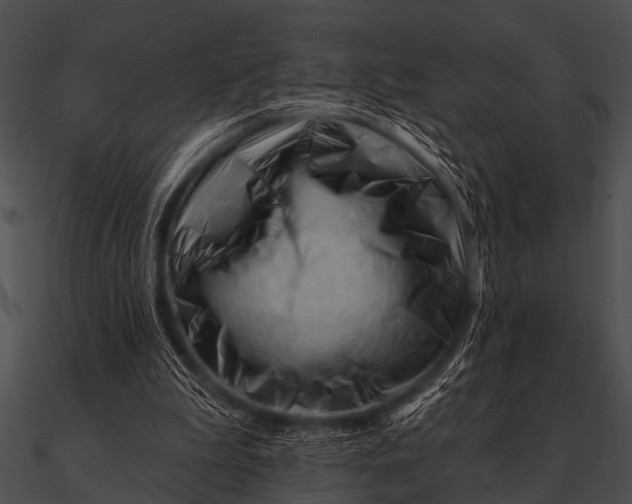 X0000090480199200708031132
