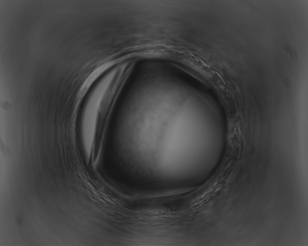 X0000090480200200708031132