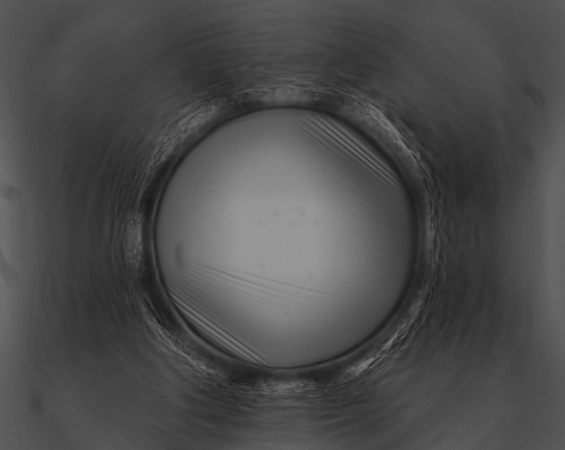 X0000090480202200708031132
