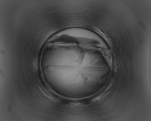 X0000090480203200708031132