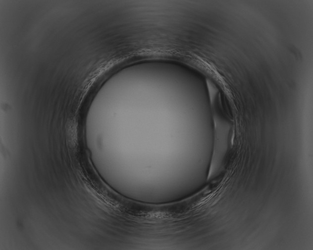 X0000090480204200708031132