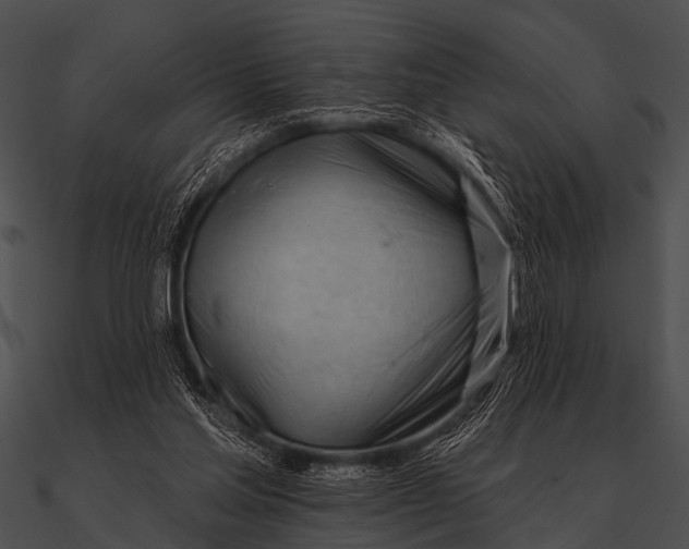 X0000090480205200708031132