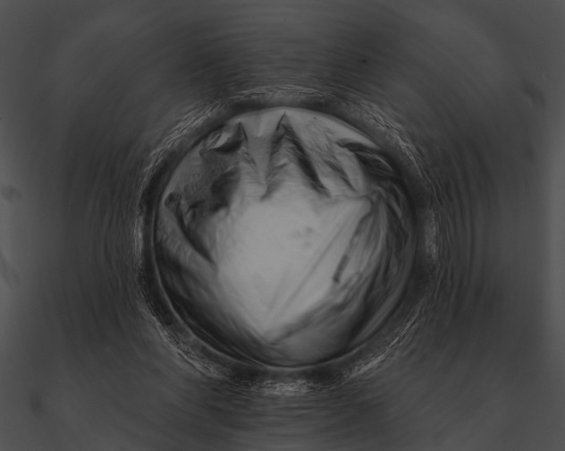 X0000090480206200708031132