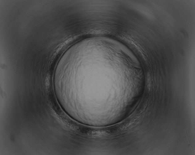 X0000090480208200708031132