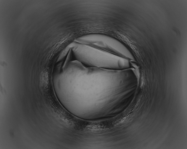 X0000090480211200708031132