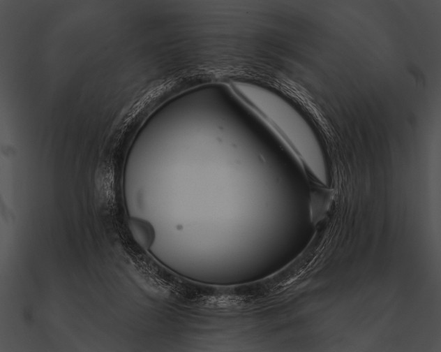 X0000090480212200708031132