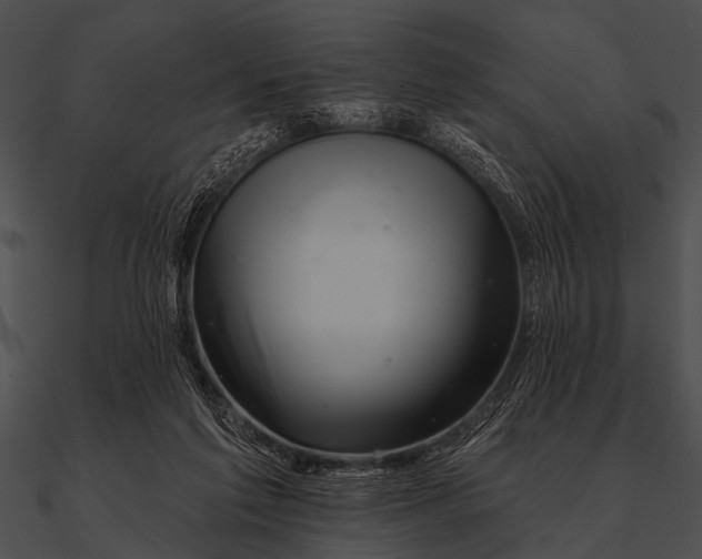 X0000090480213200708031132