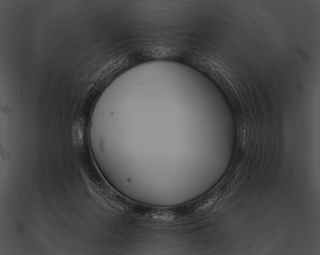 X0000090480214200708031131