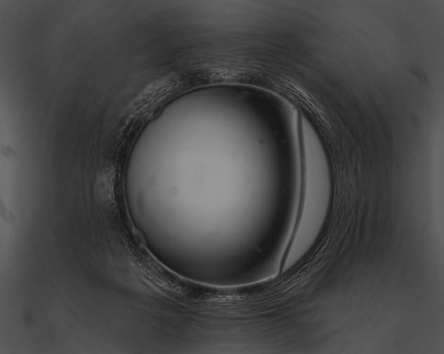 X0000090480217200708031131