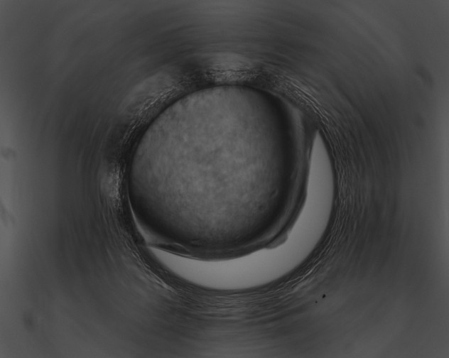 X0000090480219200708031131