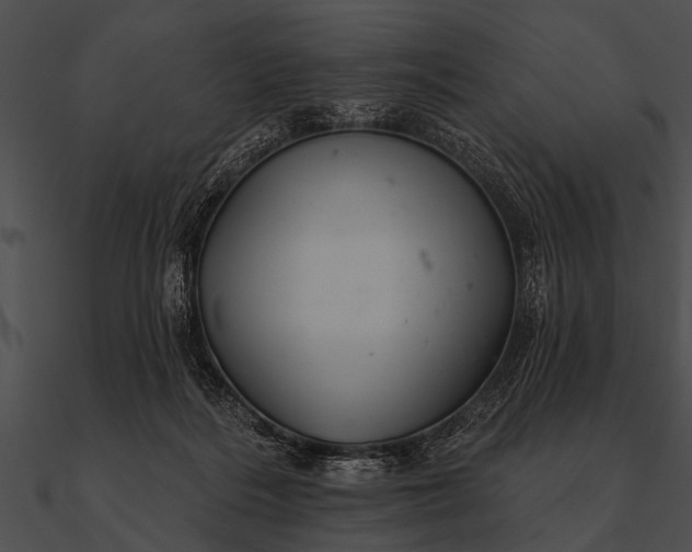 X0000090480220200708031131