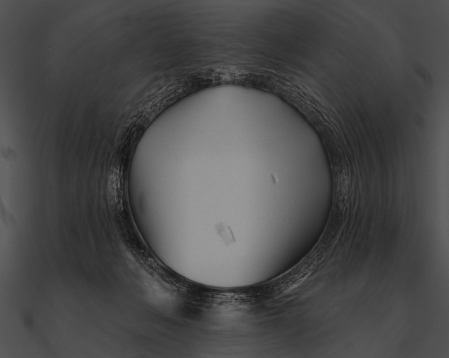 X0000090480222200708031131