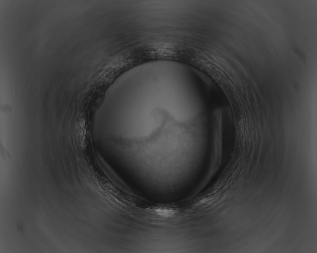 X0000090480223200708031131