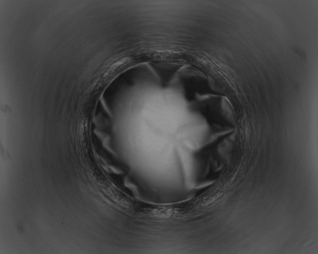 X0000090480225200708031131