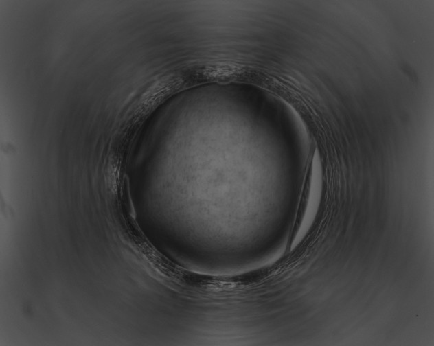 X0000090480227200708031131
