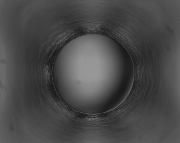 X0000090480228200708031131