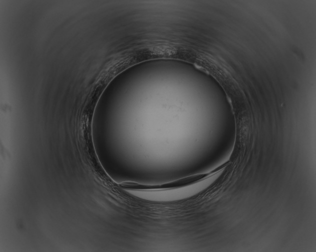 X0000090480229200708031131