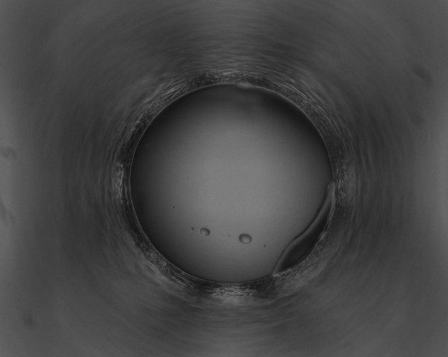 X0000090480231200708031131