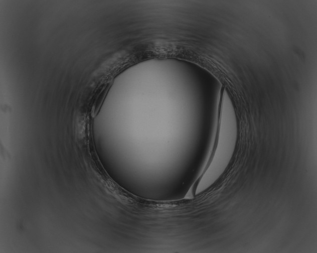 X0000090480233200708031131
