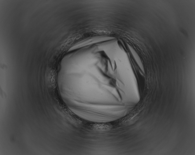 X0000090480234200708031131