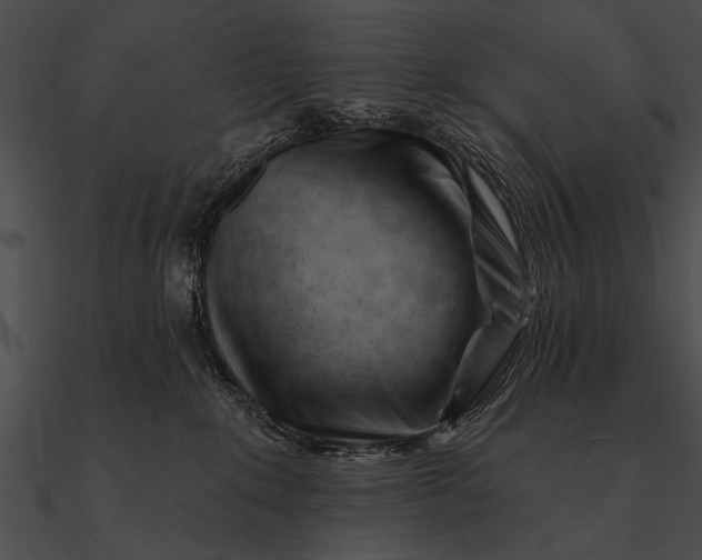 X0000090480235200708031131