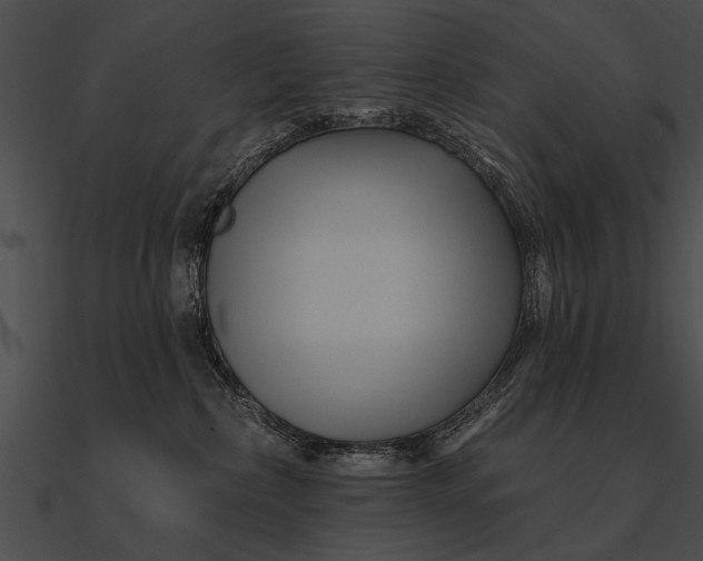 X0000090480236200708031131